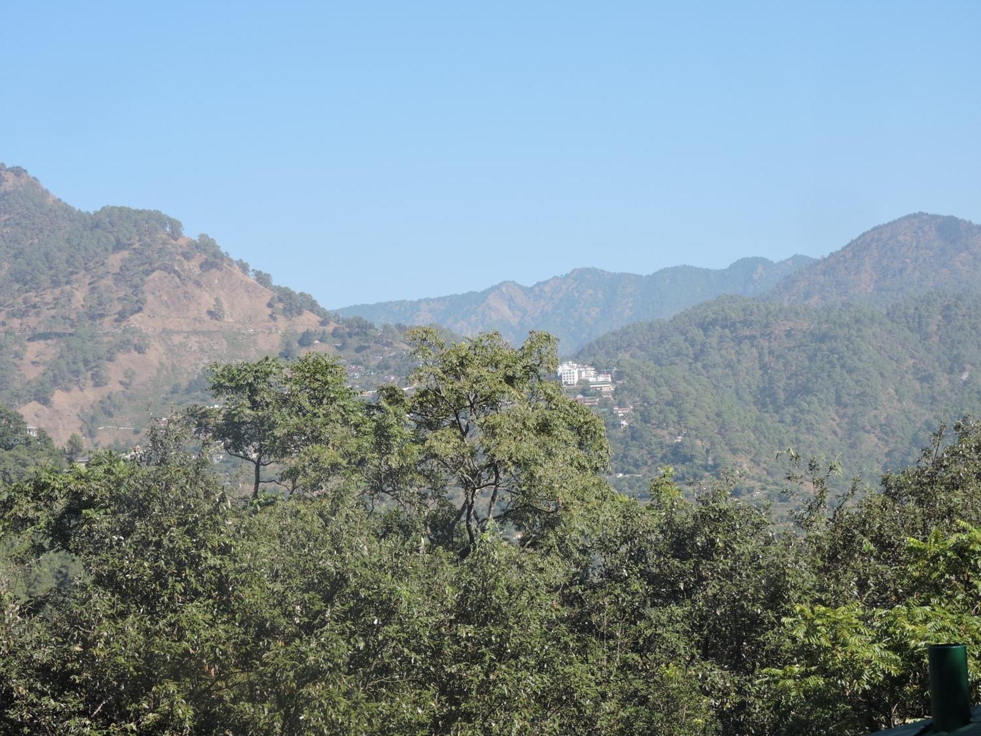 The Manora Woods - Private Hill Top, Gethiya, Nainital Exterior foto
